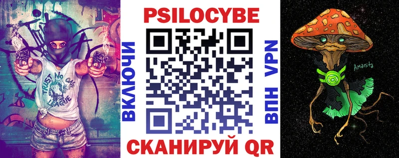 что такое   Сосновоборск  Псилоцибиновые грибы Psilocybe 